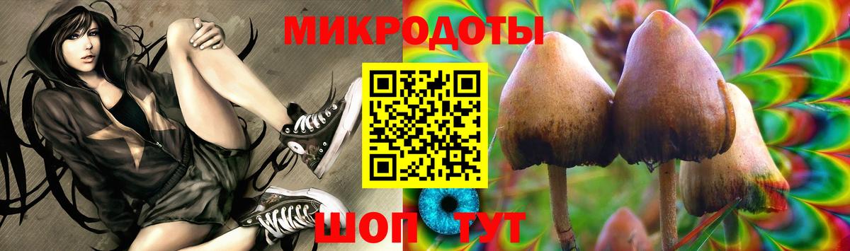 Галлюциногенные грибы прущие грибы Волгоград